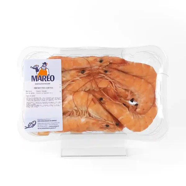 Crevettes Tropicales