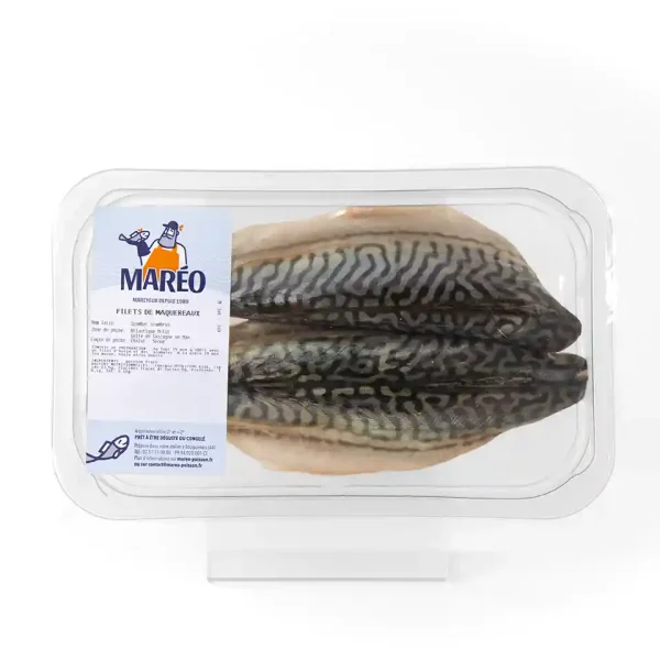 Filet de Maquereau