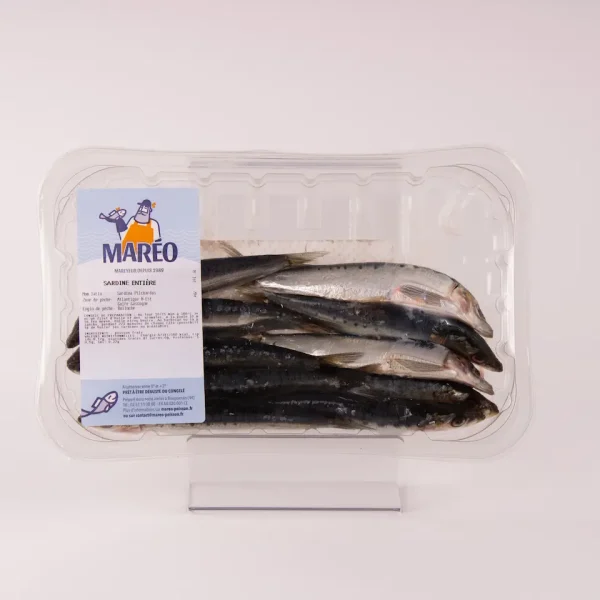 Sardines Entières